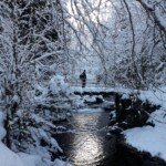 Raquettes au Pont de Bourdax Raquettes pont de bourdax